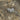 ALEXANDER WAVE - ENGH - 60 - -